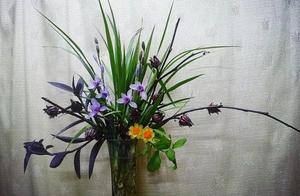 This flower need not water fertilization, can annu