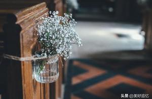 Who does Taurus love to bully most?