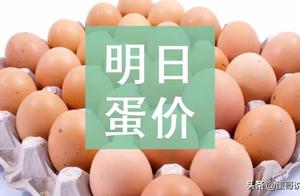Tomorrow (on May 6) egg price is forecasted