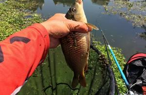 Piscine mouth is little, go up the correct process