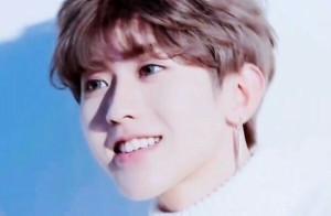 Does network force have much dreariness after all?