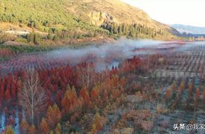 Spring of 3 chirp noisy dragon " random dot " no