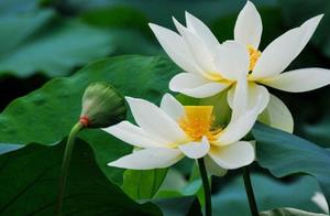 Be in each days of the life, know cherish, the soc