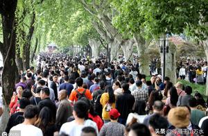 Area of scene of 51 holiday each district huge crowd of people pursues 10 pieces, netizen: Go out to