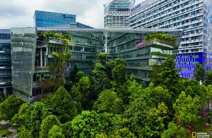 The Singapore with attentive program, the garden c