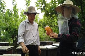 Beekeeper teachs you honey of true and false of 6 