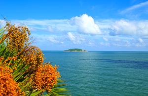 Work of wind tiger photography: Scene of next a gr