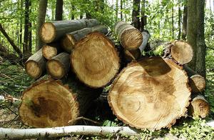 密度板家具比实木重 实木家具与密度板家具优劣之比较