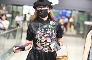 "Peacock princess " the hand takes folding fan t