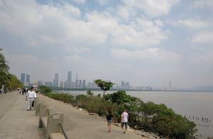 Solid pat park of Shenzhen mangrove seaside, the e