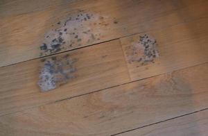 家具长霉用什么可清除 家具发霉了有哪些清除霉的方法