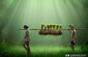 Do not have profitable to prop up, the after servi