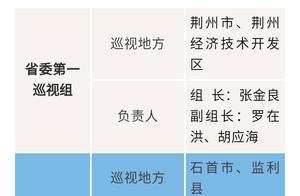 Perambulatory group already garrisoned Hubei provincial Party committee Yichang, Jing Zhou, favour u