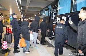 Experience case 360 million! Arrest 100 people! Ji