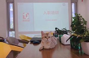 Explode does female star of Gu Nailiang He Mou pas