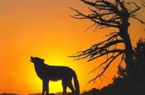 Succeed even if frustrate repeatedly, and do not decrease enthusiasticly! Good morning ~