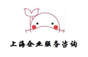 公司取名软件18.5注册码 公司：怎么给服务类公司起名