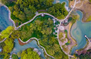 Hangzhou spring goes surely free tourist attraction, 