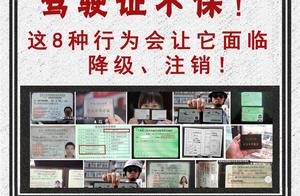 Driver's license of small letter of Qzone of tran