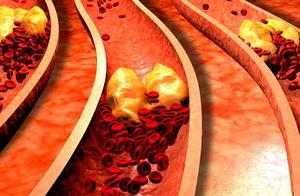 Hemal Reagan does not have 