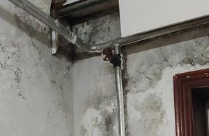 Heng Xing village carries a slack get damp on the 