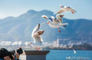 Yunnan (2) : Li Jiang - bundle river Guzhen pulls 