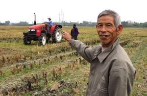 Land is on the move be bored with having a cat, ou