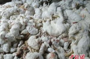 Bridal chamber of Xuzhou villager renovate blowout