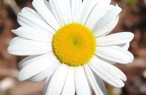 In spite of oneself because remember to the end of one's life, do not leave do not abandon because