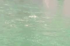 Group is come up against to become warped by the s