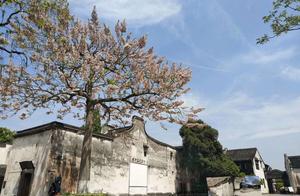 Ancient town watersides south: Black of whitewash 