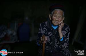 " 32 " world of demit of carry on orchid of lead