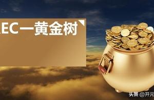 Fraud uncovers secret: "REC gold is cultivated "