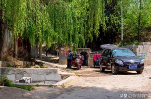 Photograph 9 female springs all right: Alimentary 