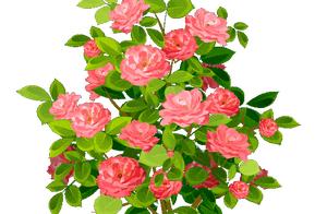 100 good, do not meet next person certainly, bad, 