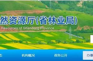 Linyi is newest the announcement that ask for the ground! Involve 28 villages, community! Compensati