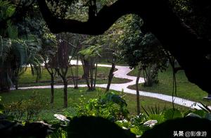 The Zhongshan park in spring breeze