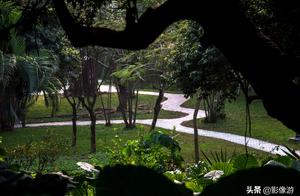 The Zhongshan park in spring breeze