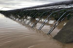 Does construction of one government project bring 