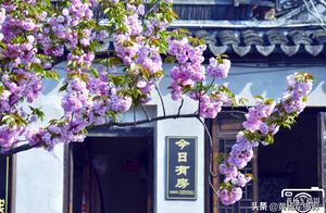 Encountered in April on the west the beautiful ori