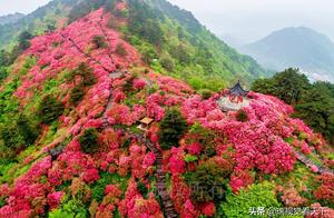 51 good place: Leave on mountain oh, azalea, the w