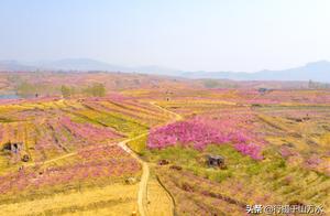 The most beautiful world in April day, the country