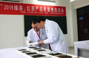 Countrywide name actorred or actress 2019 (green, red) activity of choose of tea product quality is