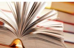 2019 newest go bankrupt what is the pay off order 