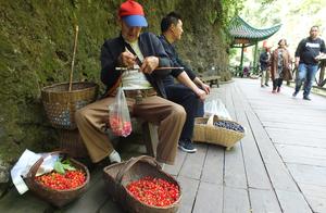 Hubei Yichang: 3 gorge cataract 91 years old of old farmer sell scene area cherry 5 yuan a jin