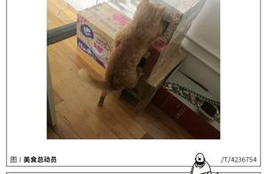 Disappointing figure spits groove greatly - 20190502