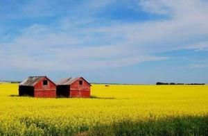 Right China exit suffocate suffocate, canada searc