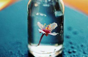 That car, the sign that having a mother (touching good article)