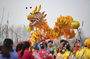 Anhui Bo city: Dance dragon is troubled by beautiful sea peach blossom to bring a guest to come