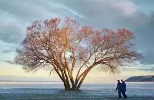 If you are gentle, unmanned and abominable; You if